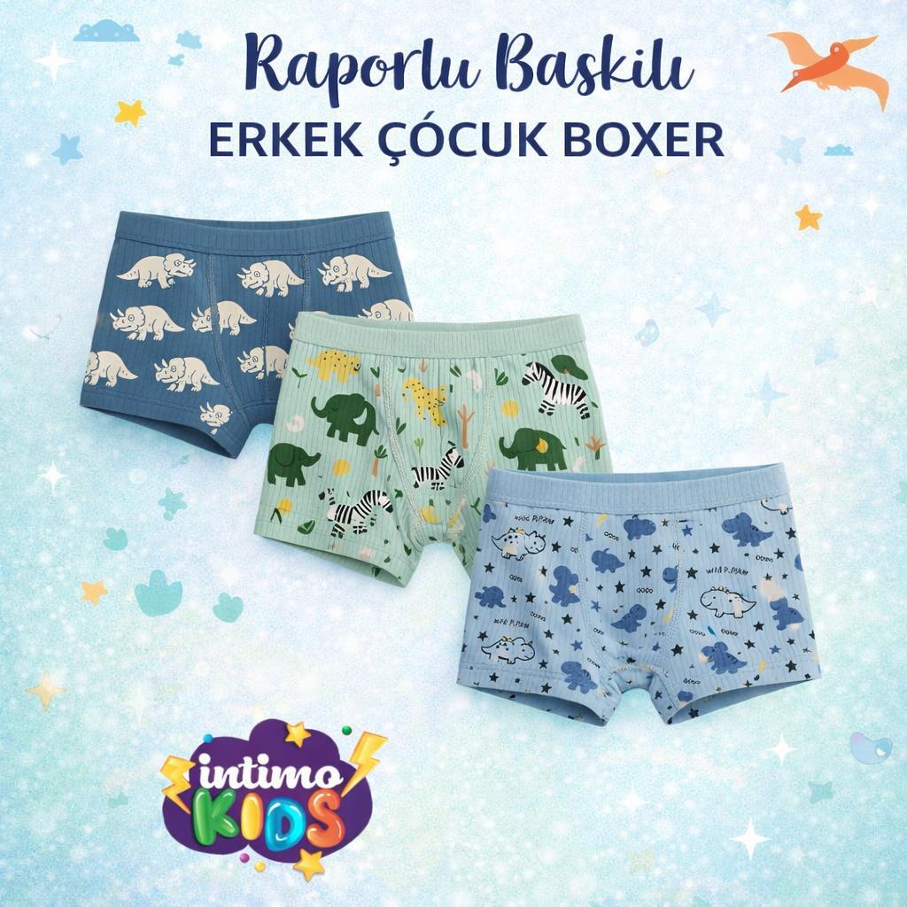 İntimo Kids Raporlu Baskılı Erkek Çocuk Boxer